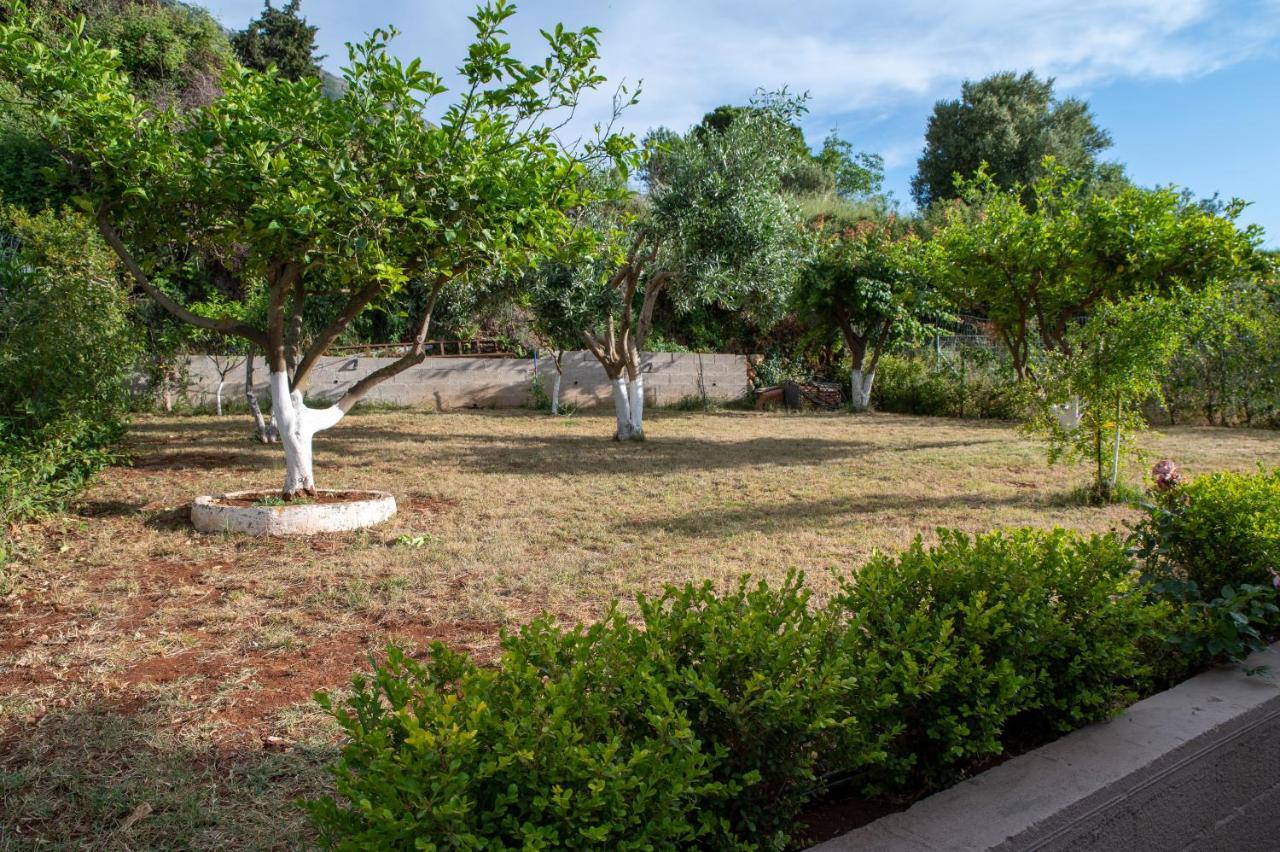 Villa Athina Angon Buitenkant foto